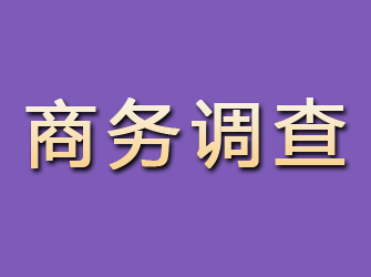 通榆商务调查